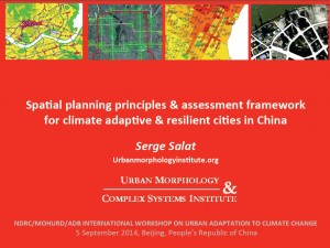 Spatial planning principles for urban resilience